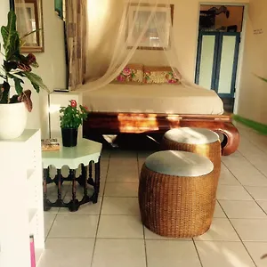 Habitación en casa particular Magical Garden, Savaneta
